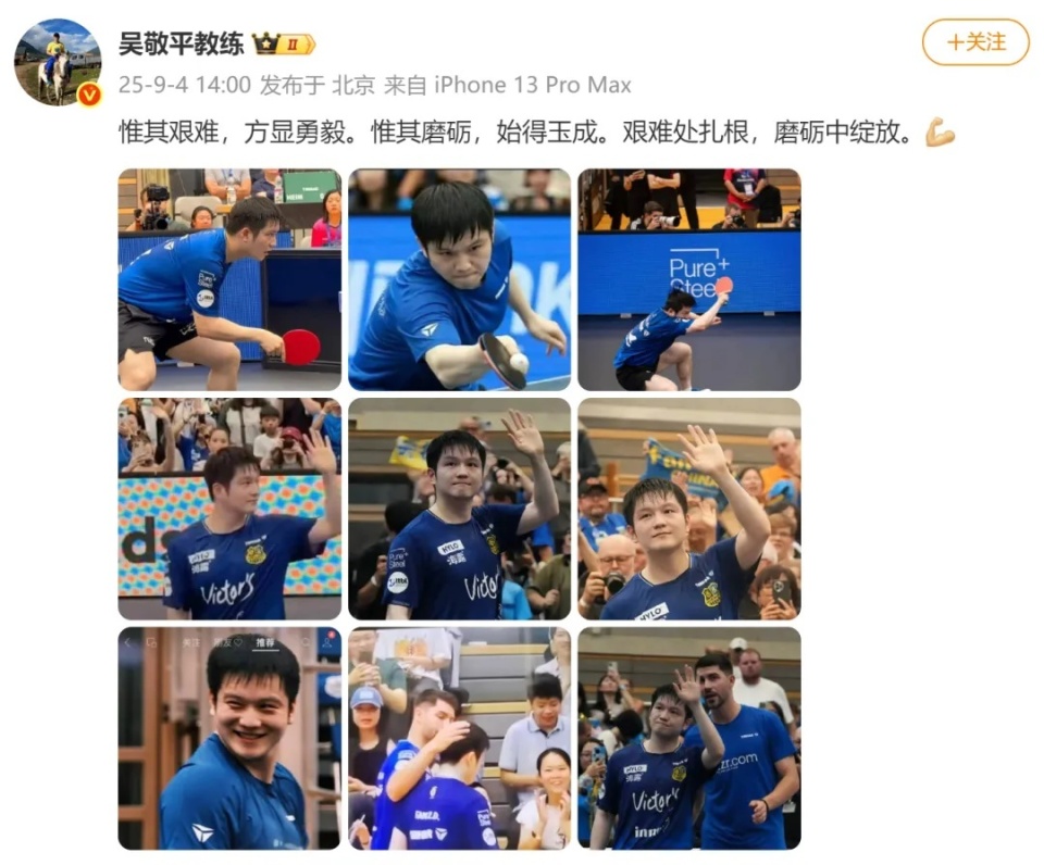 樊振东迎来, 磨砺中绽放