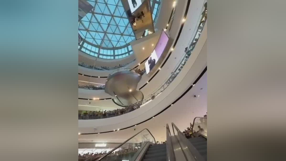 视频及图片